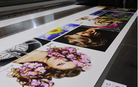 Wide Format Printer